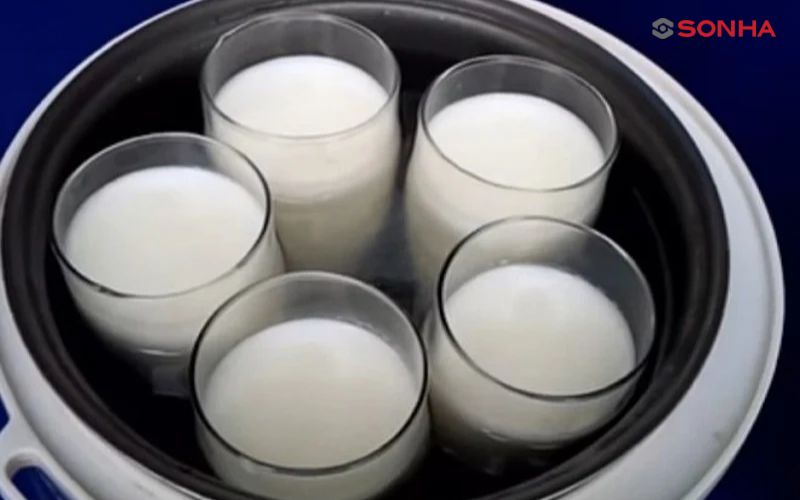 Ba loại sữa chua khác nhau đều có thể được làm bằng nồi cơm điện